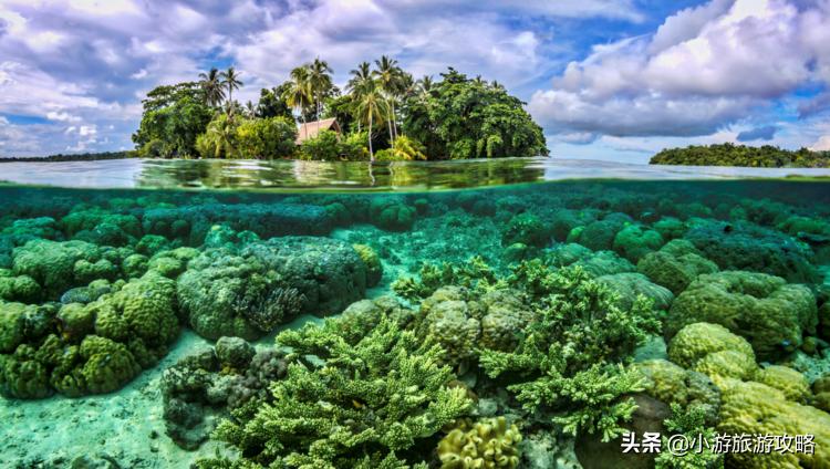 潜水小白必看,潜水圣地三天旅游攻略
