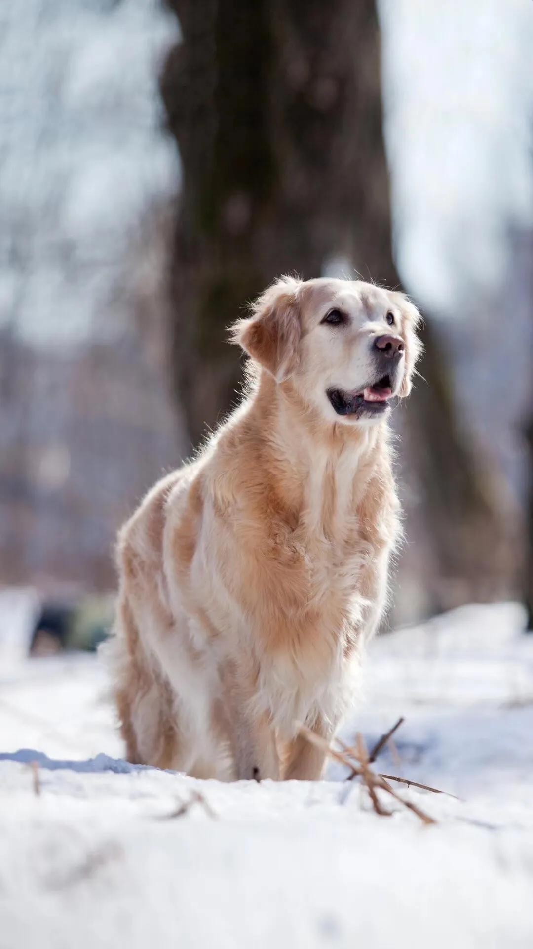 八个细节告诉你身边的人谁最靠谱,九个细节告诉你周围人谁最靠谱