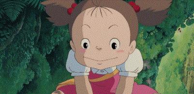 龙猫最久能活多久,龙猫30秒