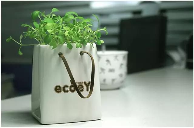 家里花瓶插花放点什么,创意养花花瓶