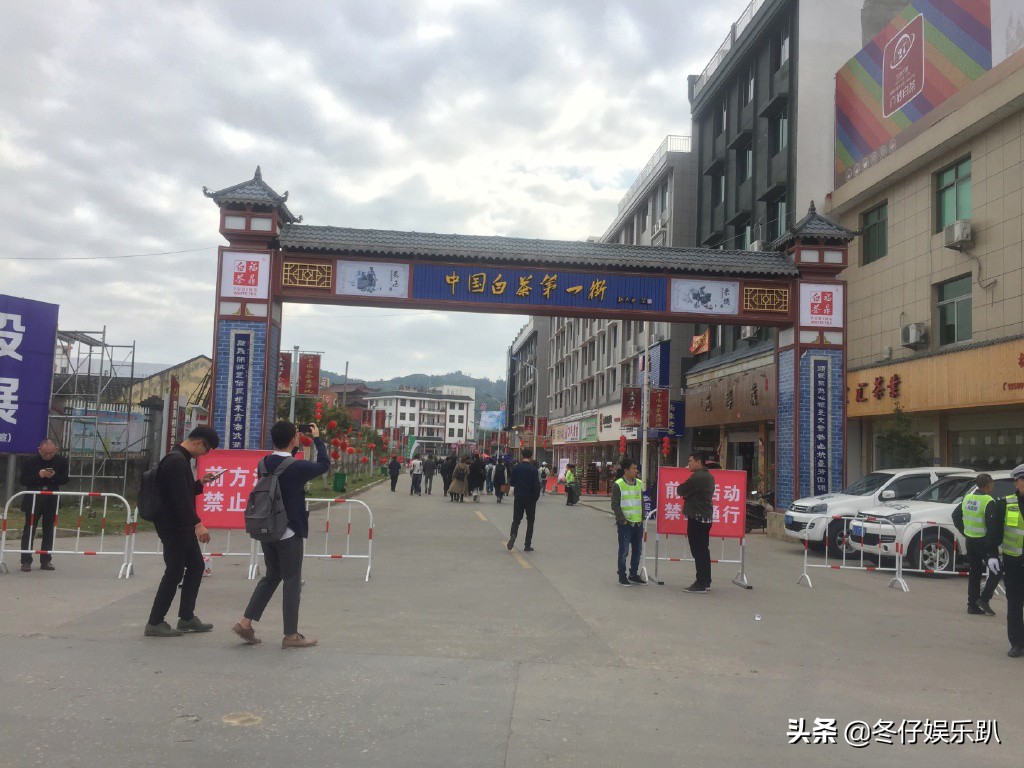 关于白茶的六大谣言,白茶过曝