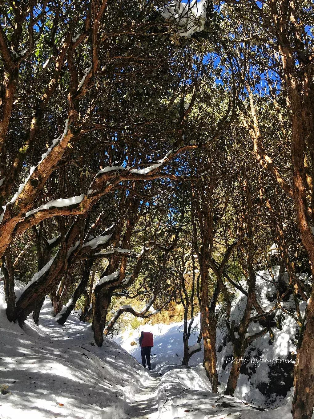徒步小游记,徒步西藏小白