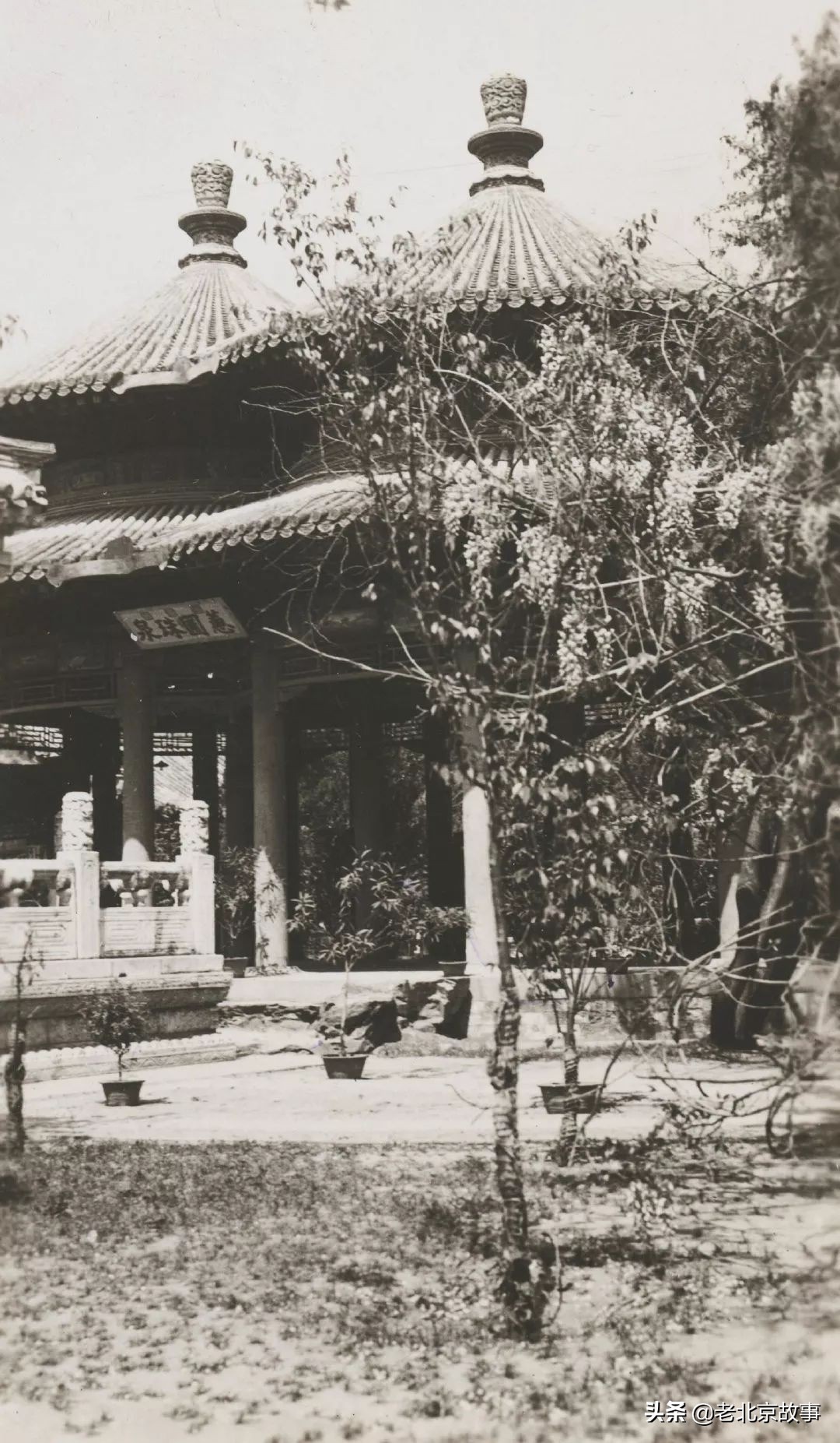 中南海,北京一个神秘的地界儿