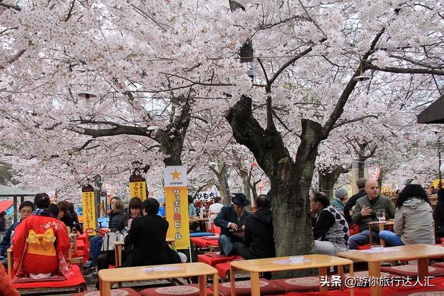 待到山花烂漫时完整版,待到樱花烂漫时的视频