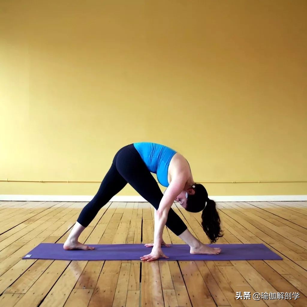 初学瑜伽必练8个基础瑜伽体式,瑜伽初学入门18个基础体式