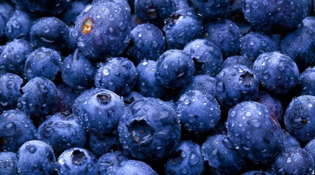 达州一座有温度的城市,达州一个有温度的城市