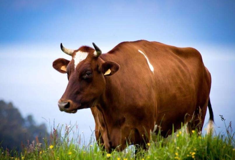 原创诗词14首,经典诗词36首