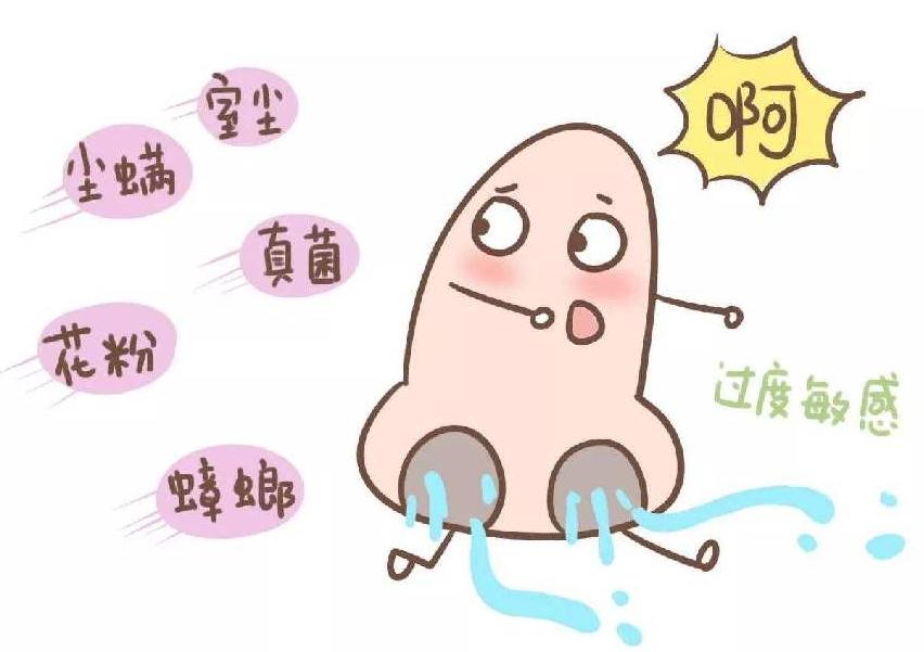 过敏性鼻炎处方药有哪些,过敏性鼻炎中医分类及用药