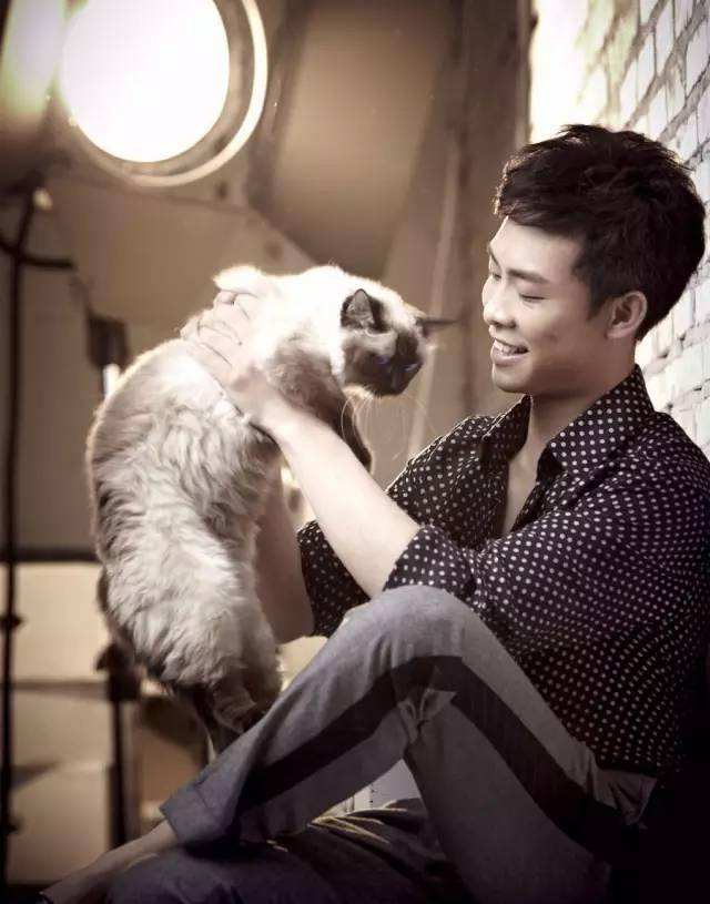 男明星为何喜欢养猫,为什么都说男生不能养猫