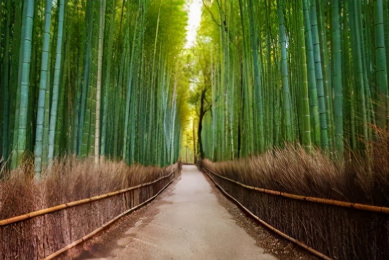 利用竹炭做成的板材，外表虽“其貌不扬”但功效“小清新”