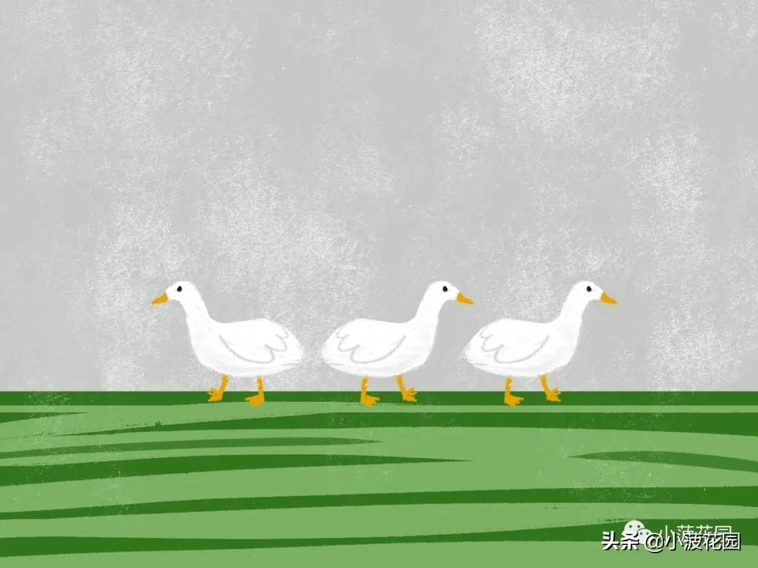 毛主席是运用“形而下”的高手,高高手