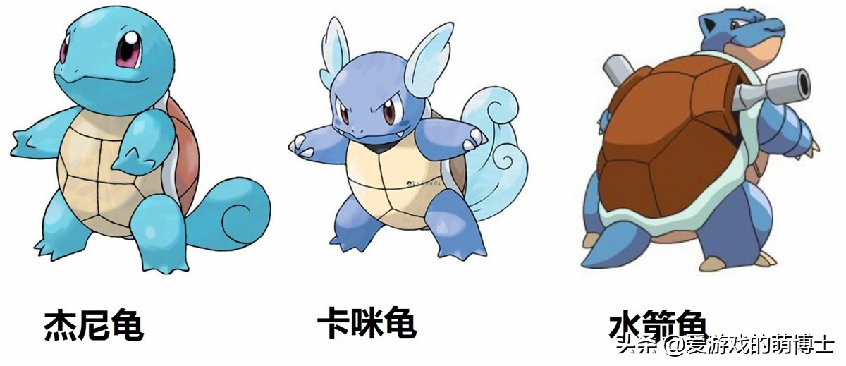 宝可梦杰尼龟几级进化成水箭龟,宝可梦杰尼龟黑色