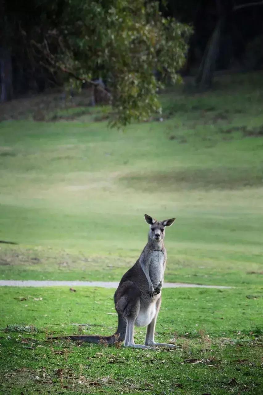 丽江最美的一个地方,中国最美100个地方丽江