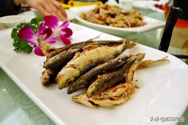 中国最大的内陆湖鱼,中国哪里湖的鱼最贵