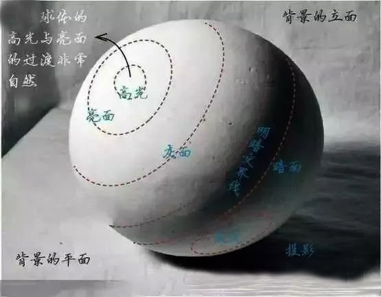 成年人自学武术基本功,女生怎么在家自学武术