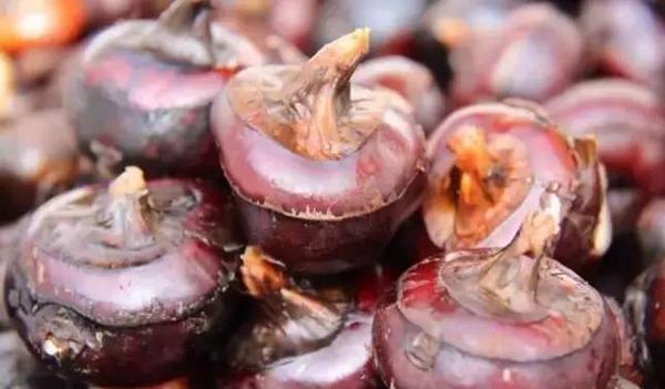 食材美食年货新鲜分享,番禺马蹄粉做法