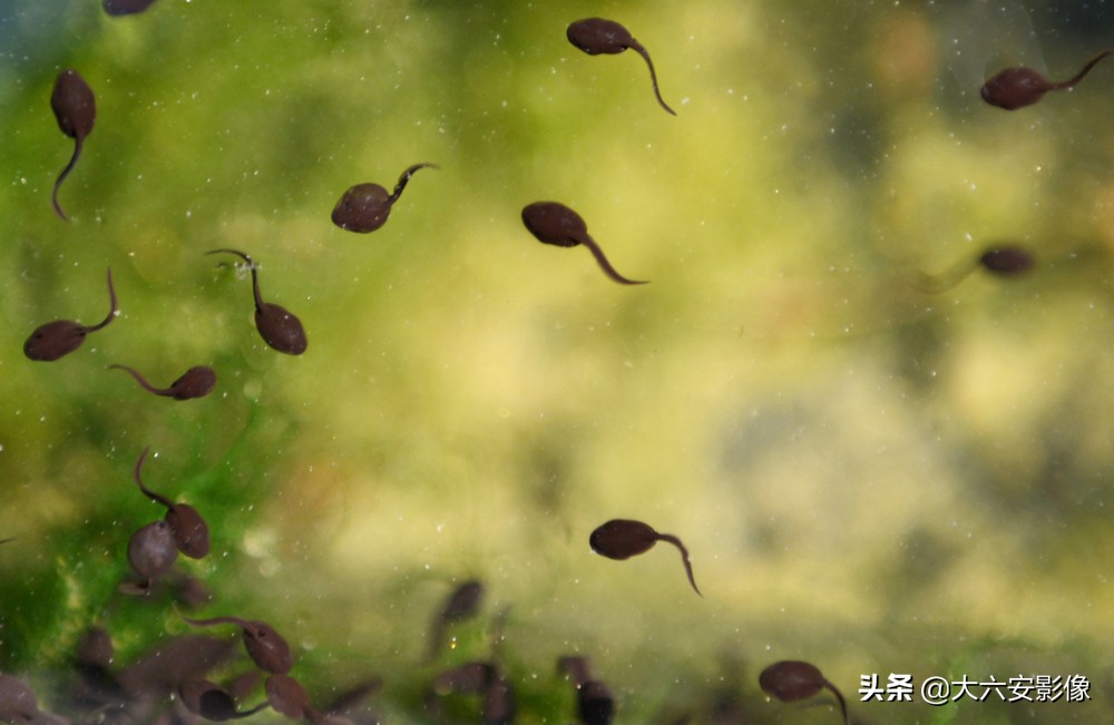 惊蛰到万物复苏的季节,惊蛰到万物醒大班绘本