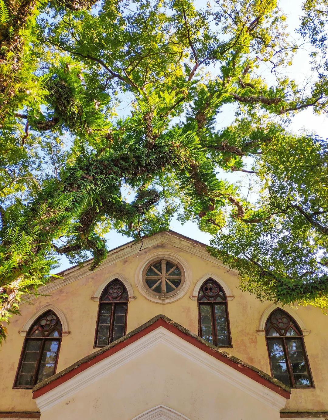 没有存在感的省叫什么,没存在感的省份