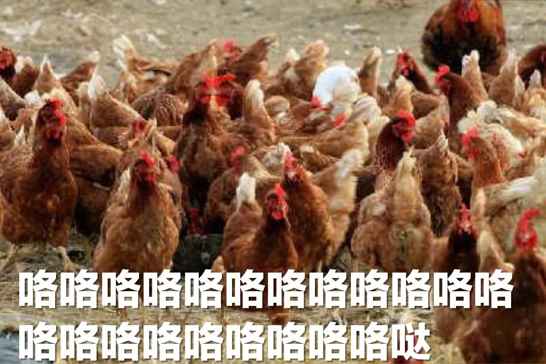 哈哈哈哈哈哈我笑到我妈把鞋塞我嘴里