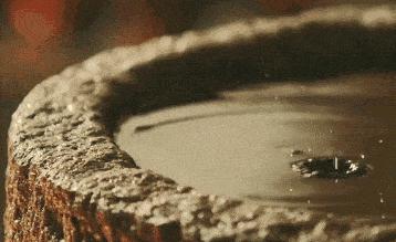 国珍香酒,国珍酒酒中珍品