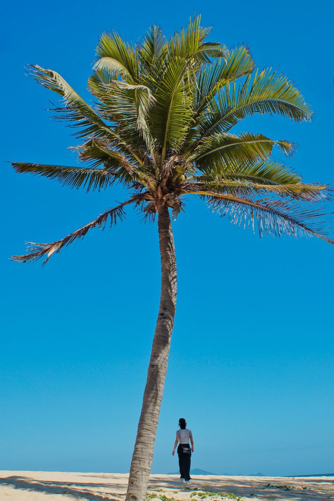 索尼a6000可以录像吗,索尼6000有自动跟焦吗