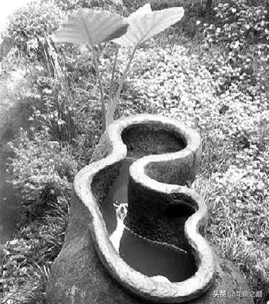 古人没有过滤怎么养鱼,陶瓷鱼缸过滤最佳方法