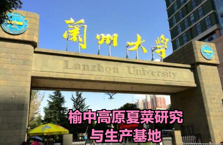 985大学的江湖绰号,各大高校的江湖绰号你还知道什么