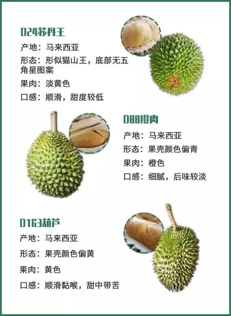 赌王派私人飞机买,蔡少芬怀孕也痴迷,凭啥它让*欲人**罢不能?