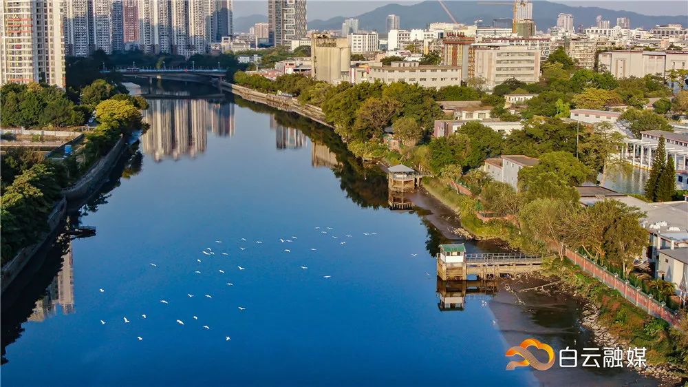 白云区好的初中排名榜,白云区成绩排名