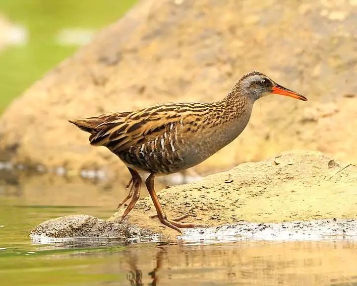 采访18岁的人,8090后的真实童年