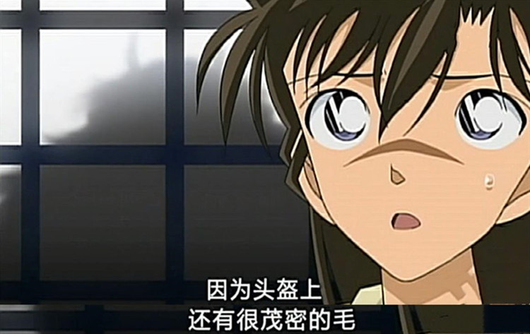 名侦探柯南神秘列车杀人事件,名侦探柯南盔甲杀人事件是第几集