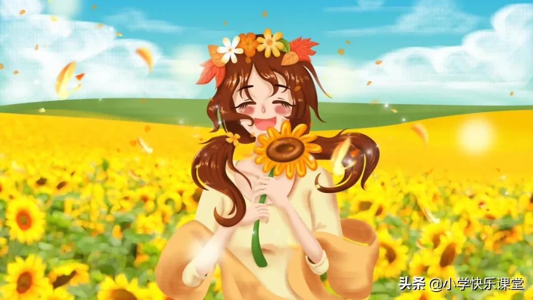 手绢上的花田读后感小学,手绢上的花田读后感好词好句