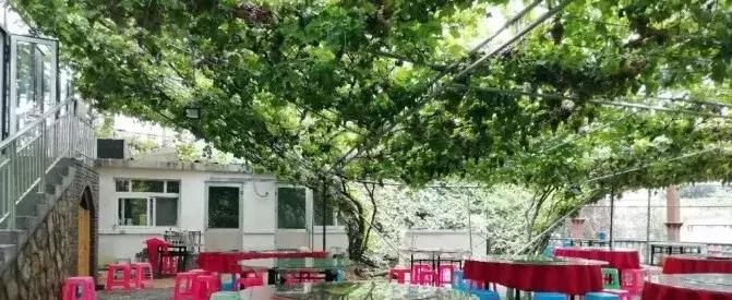 葡萄小镇攻略,长安区南寨西村太阳葡萄小镇