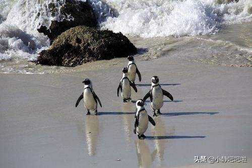 你不知道的国家冷知识玻利维亚篇,你不知道的国家冷知识摩洛哥