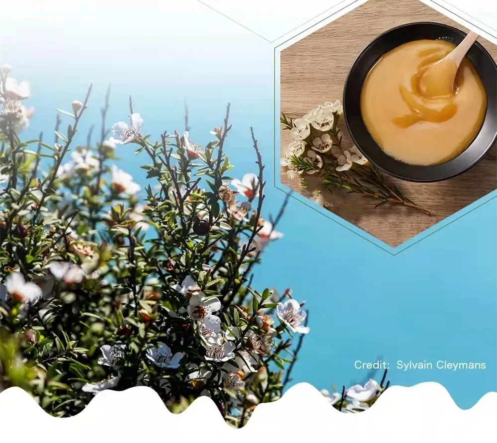 新西兰的鲜羊奶测评,新西兰羊奶粉高钙羊奶粉