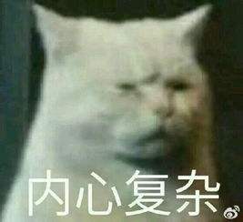 dnf皮甲史诗排行,dnf皮甲回蓝哪个好