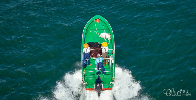 三亚南湾猴山岛,三亚南湾猴岛好玩的地方