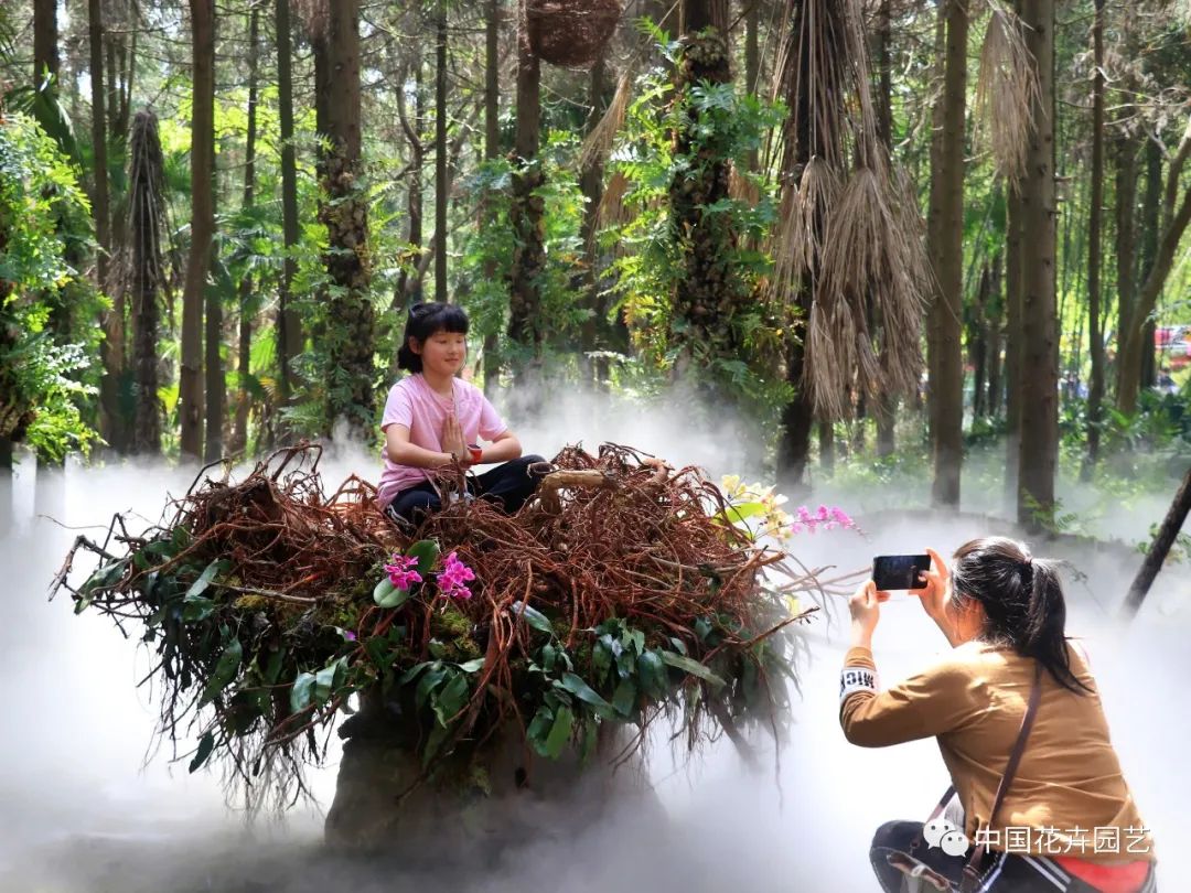 探访花博会的神奇植物,探访第十届花博会的神奇植物