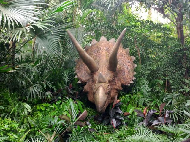 广州番禺区长隆野生动物世界缆车,广州旅游长隆野生动物世界