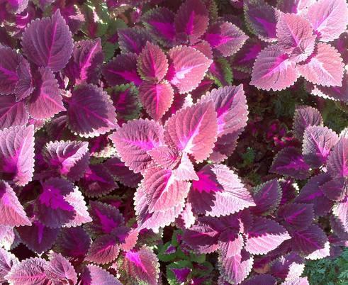 “日本护肤品”被一抢而空，“国货”却无人问津！内行人：差距真大