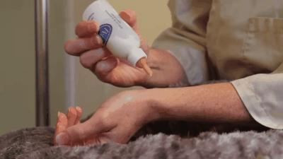 如果捡到小奶猫怎么办,捡到小奶猫要怎么处理