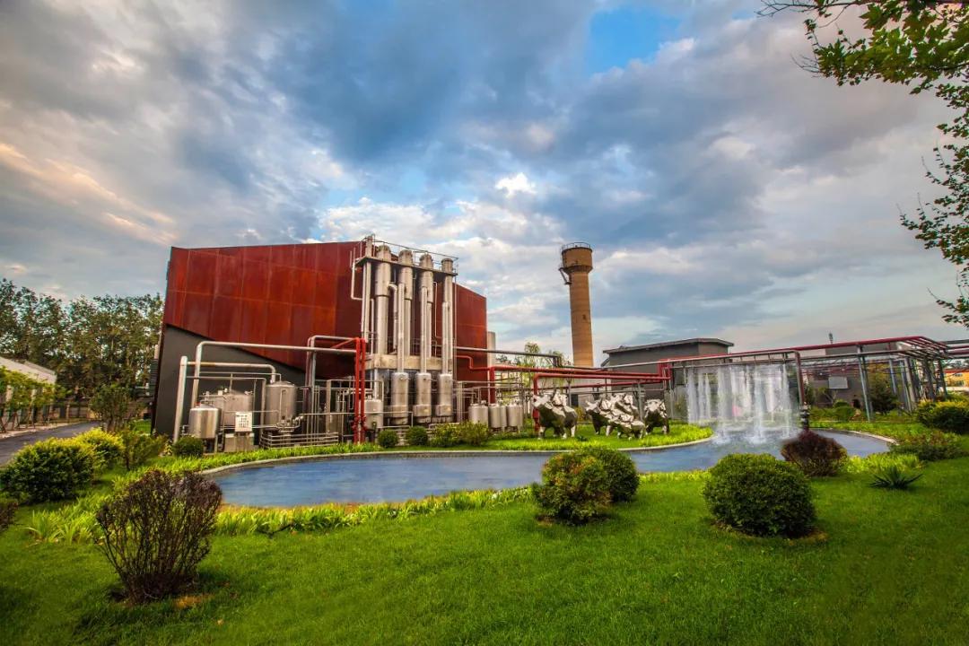 袋鼠达达北京旗舰店,袋鼠达达北京店