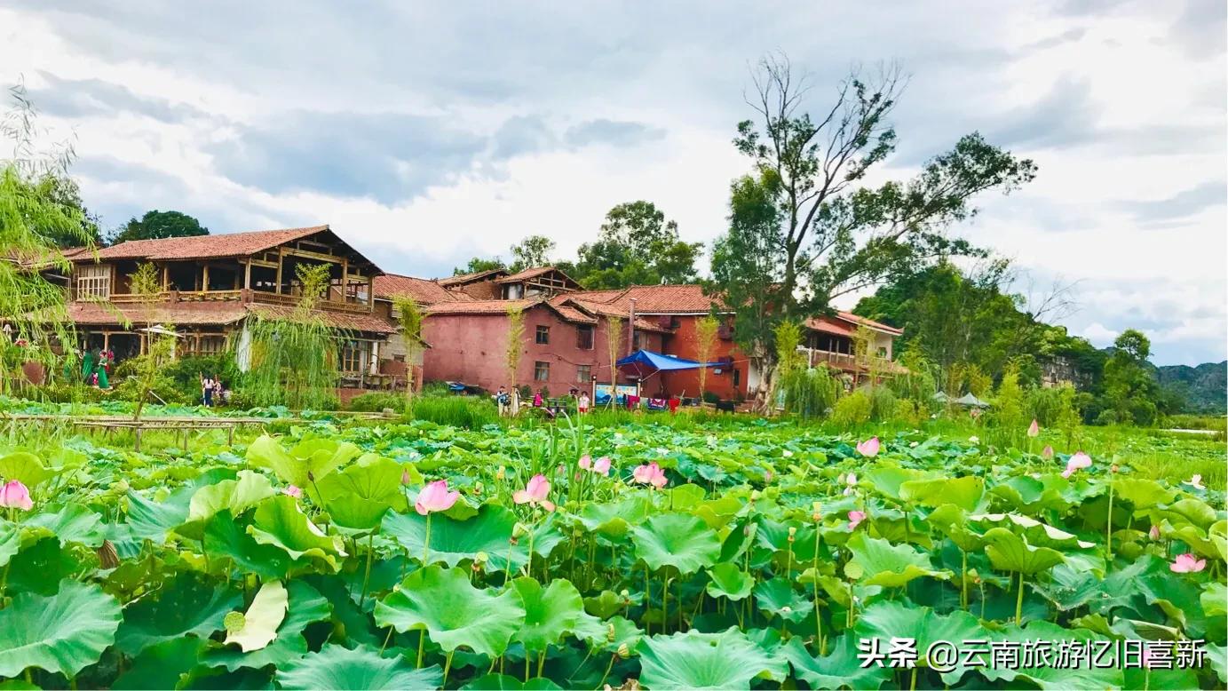 普者黑自驾游攻略,自驾云南普者黑景区攻略