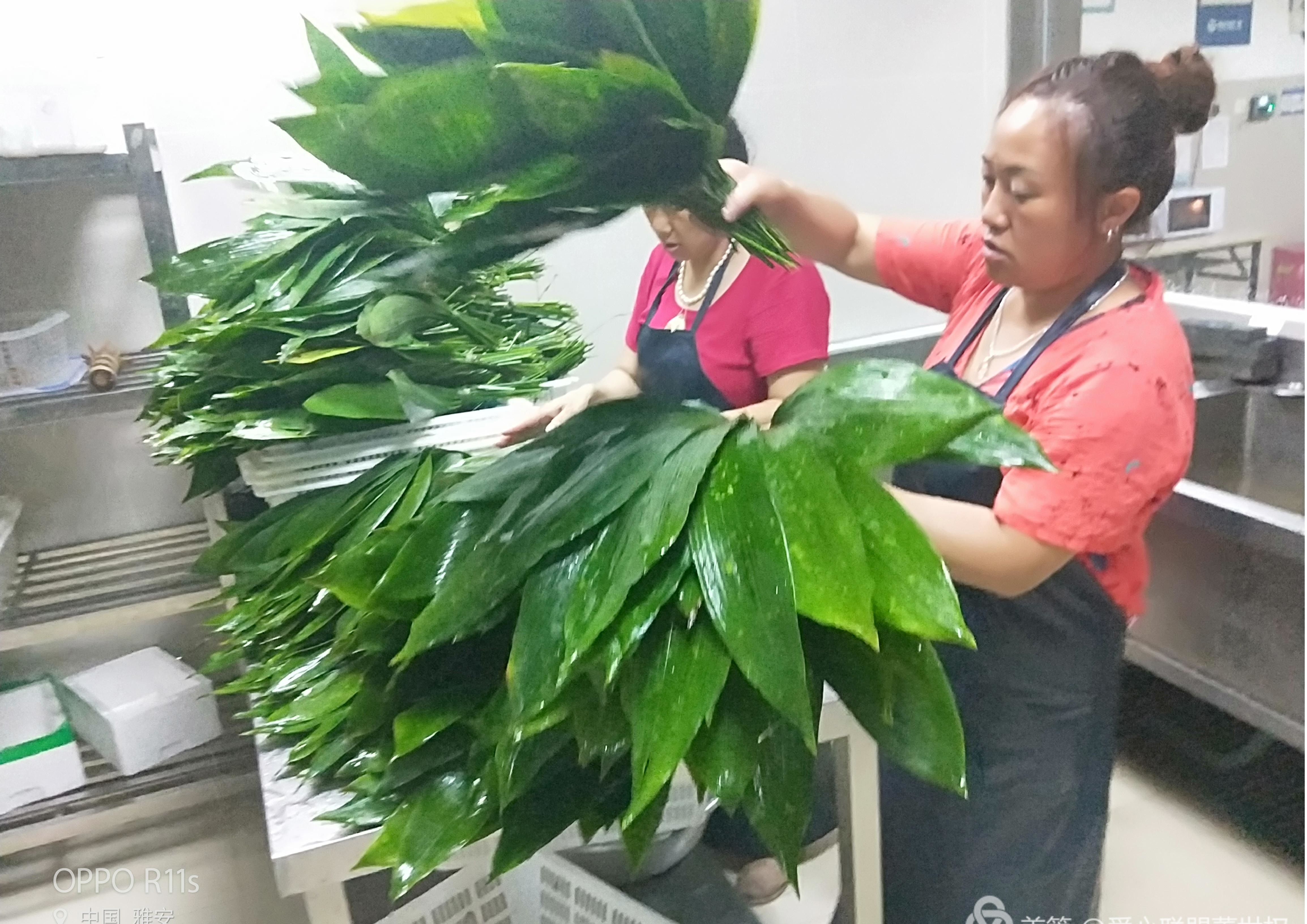 爱心联盟行动,雅安市爱心联盟