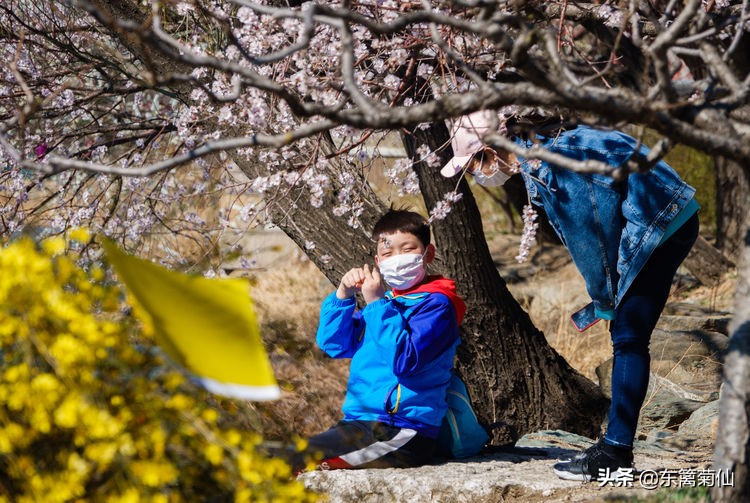 2021年文字祝福,2020年祝福合集