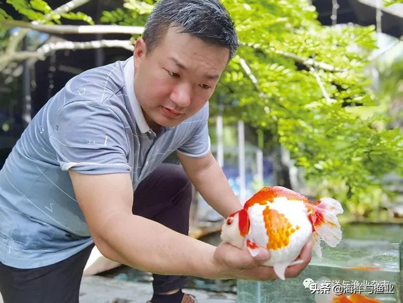 中山帆鲨海洋文化馆,小榄帆鲨海洋文化馆简介