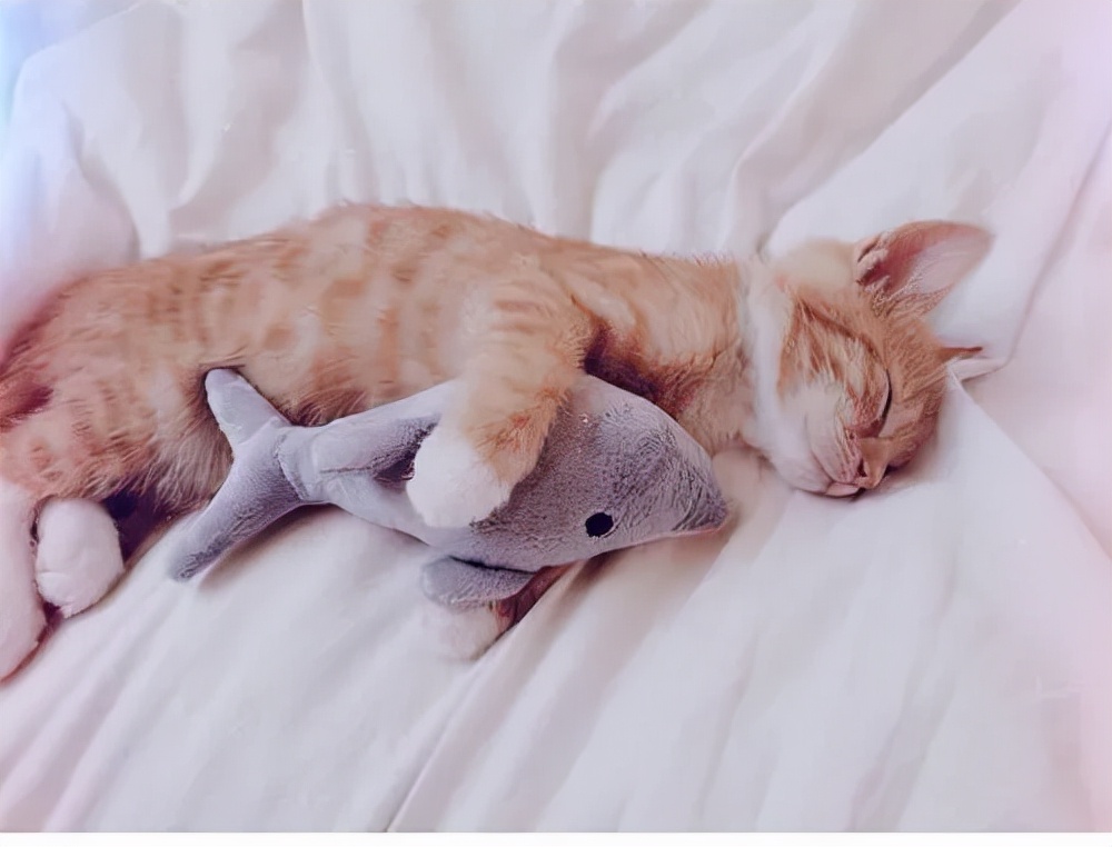 你们的对象怎么找的,你们的对象是怎么找的