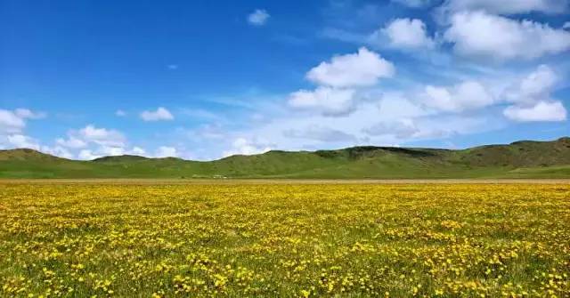 若诗若画若尔盖美景,若诗若画若尔盖文案