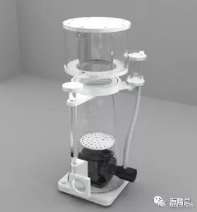 海水白点处理,海水白点病的严重程度怎么判断