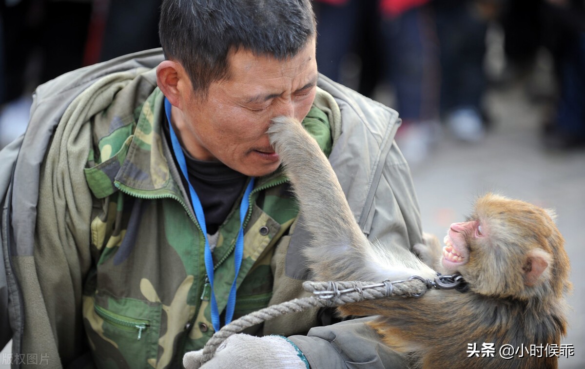 小学解题思维汇编,三下面积题型解题汇编